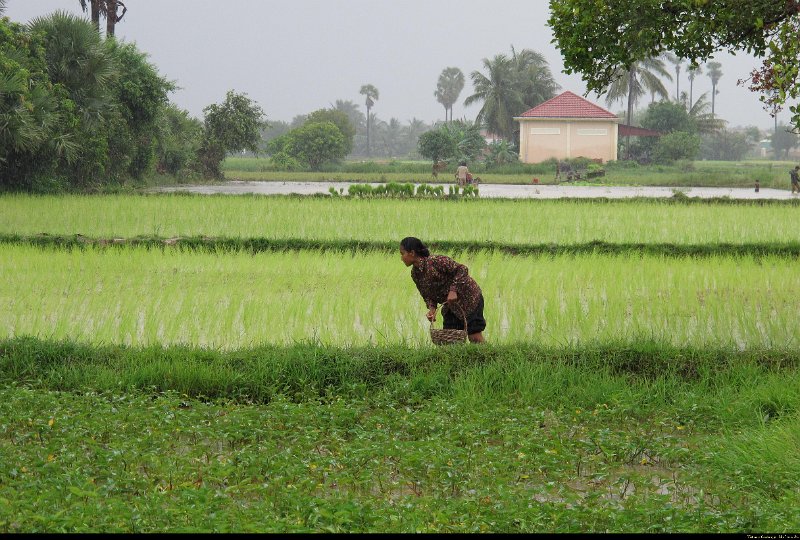 Vietnam - Cambodge - 0261.JPG